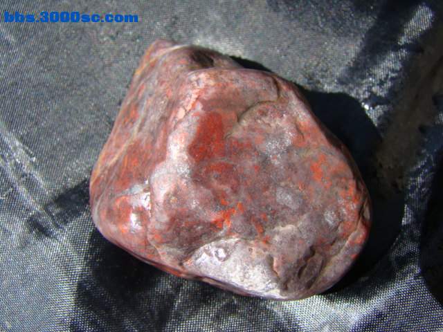 DSC03010.JPG