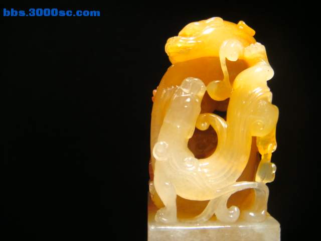 DSC00672.JPG