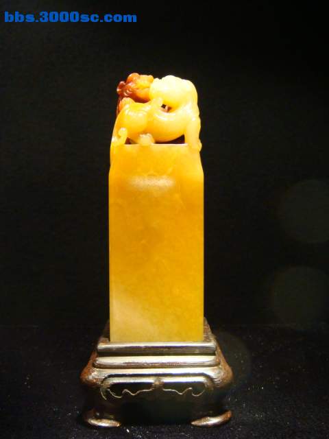 DSC00679.JPG