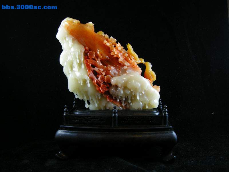 DSCN6887.JPG