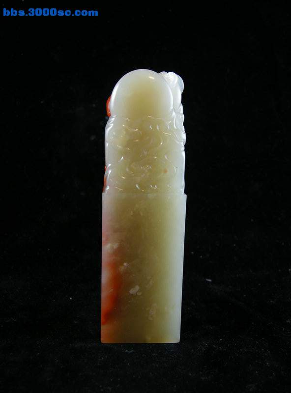 DSCN6907.JPG