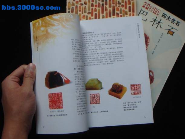 寿山石.jpg