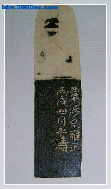 SUC33613.jpg