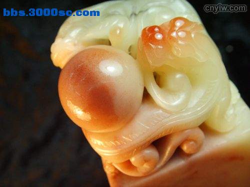 20080731_43533b91241cb103cc4d1hwRHdn5nDN6.jpg