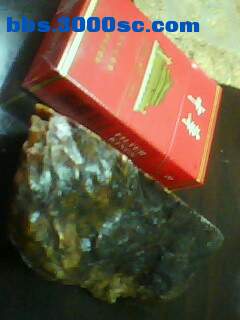 IMG0020A.jpg