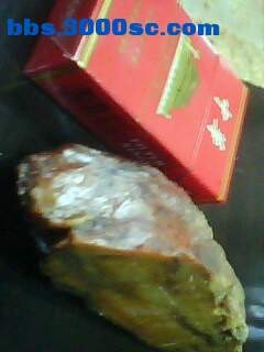 IMG0019A.jpg