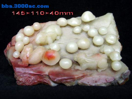 DSC05862.jpg