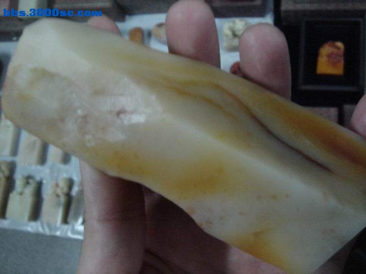 调整大小 DSC04907.JPG