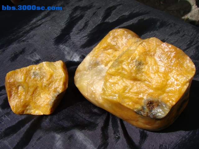 DSC03021.JPG