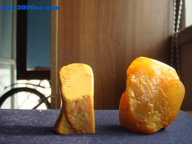 DSC05652.JPG