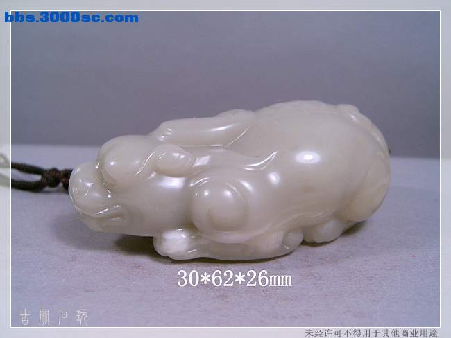 SUC33882.jpg