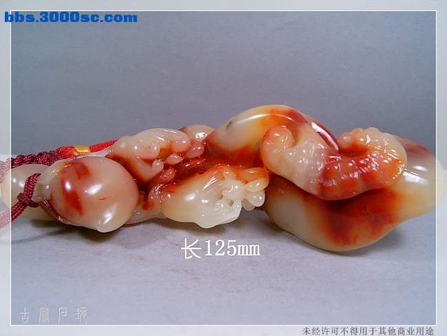 SUC33905.jpg