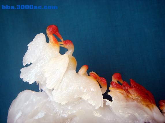 照片 016.jpg