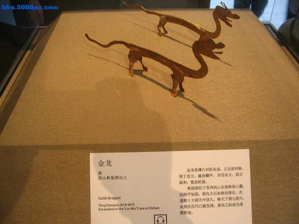 金龙.JPG