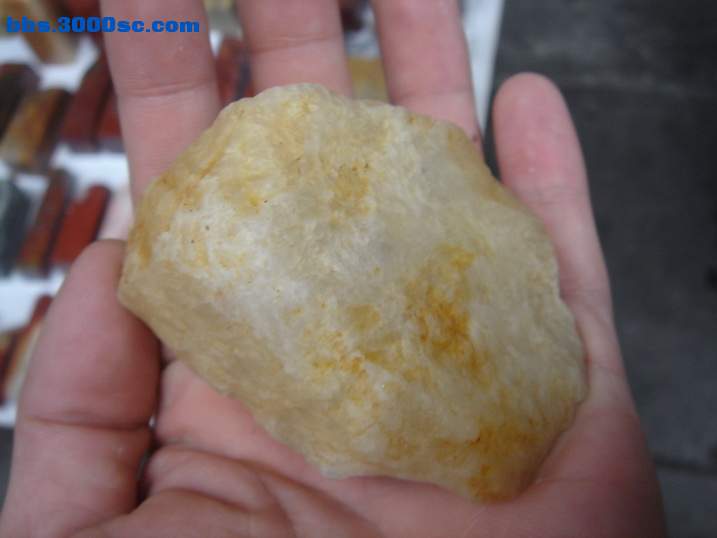 DSC05025_调整大小.JPG