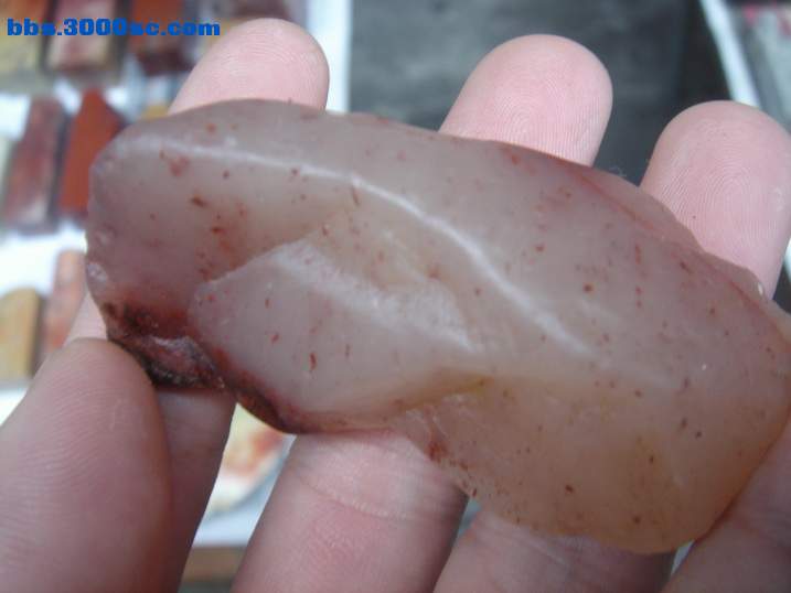 DSC05027_调整大小.JPG