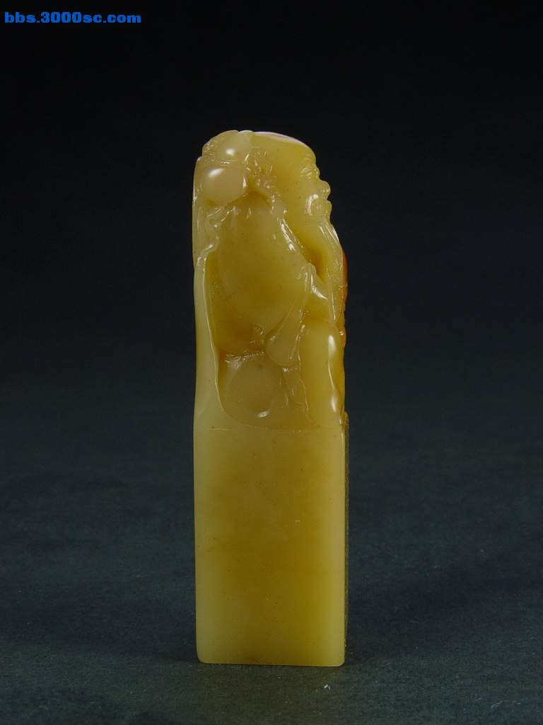 DSC07935.jpg