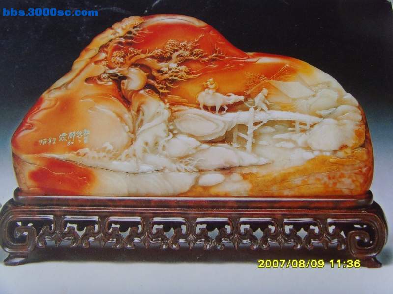 SNV30139.JPG