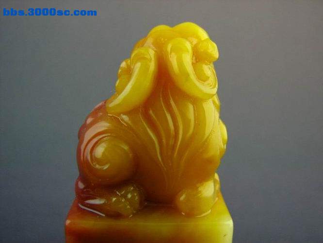 照片 091.jpg