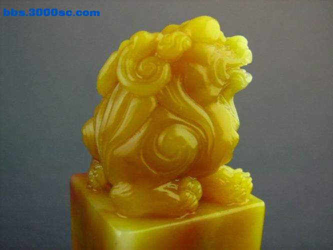 照片 088.jpg
