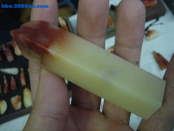 DSC05046_调整大小.JPG