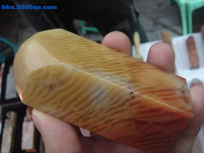 DSC05053_调整大小.JPG
