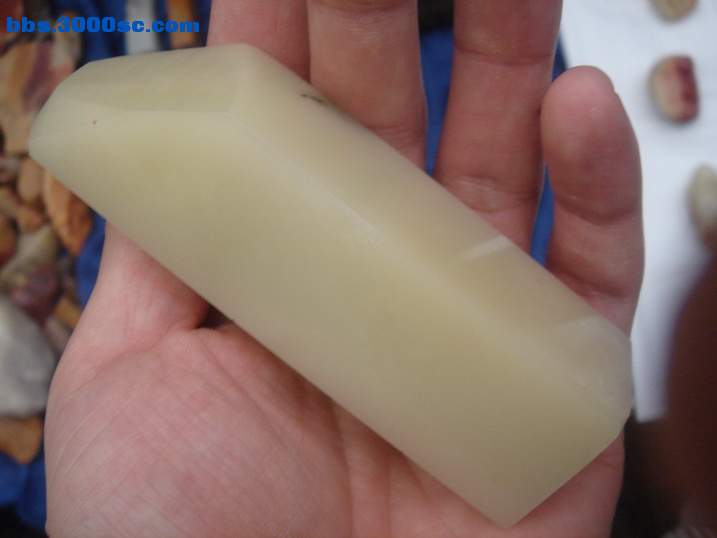 DSC05068_调整大小.JPG