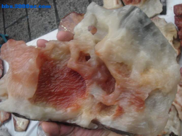 DSC05077_调整大小.JPG