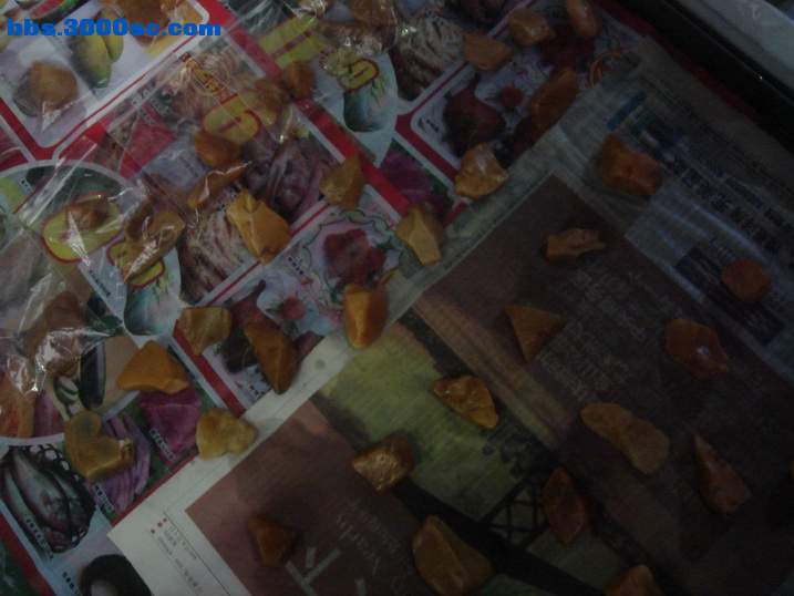 DSC05076_调整大小.JPG