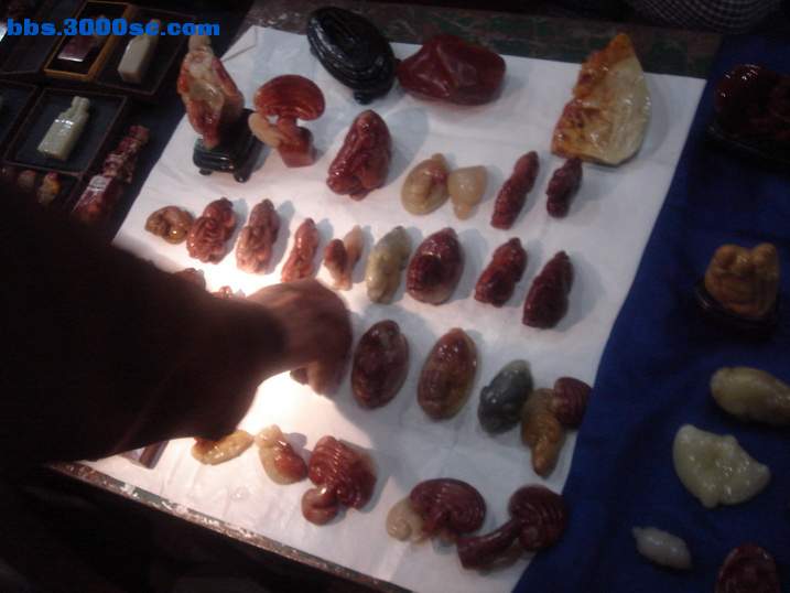 DSC05083_调整大小.JPG