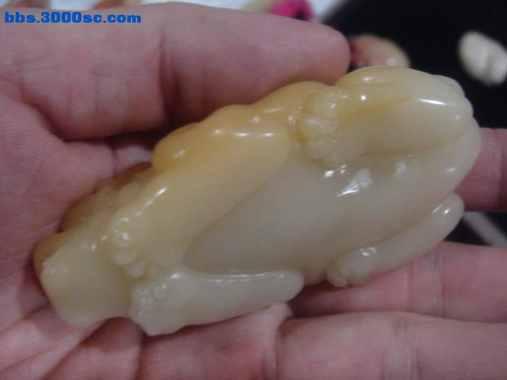 DSC05085_调整大小.JPG