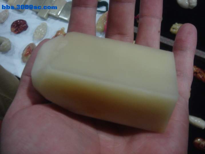 DSC05087_调整大小.JPG
