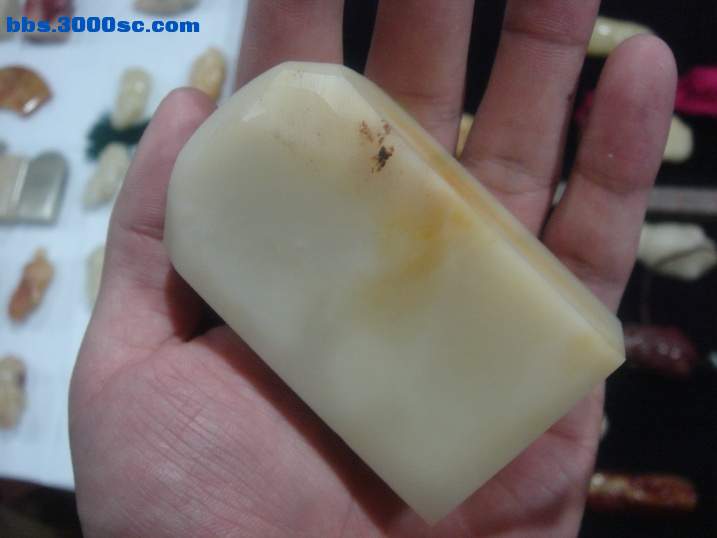 DSC05088_调整大小.JPG