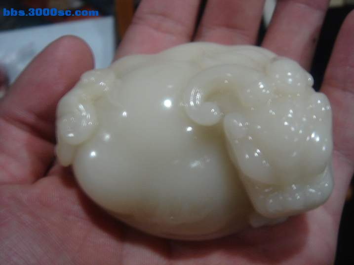 DSC05093_调整大小.JPG