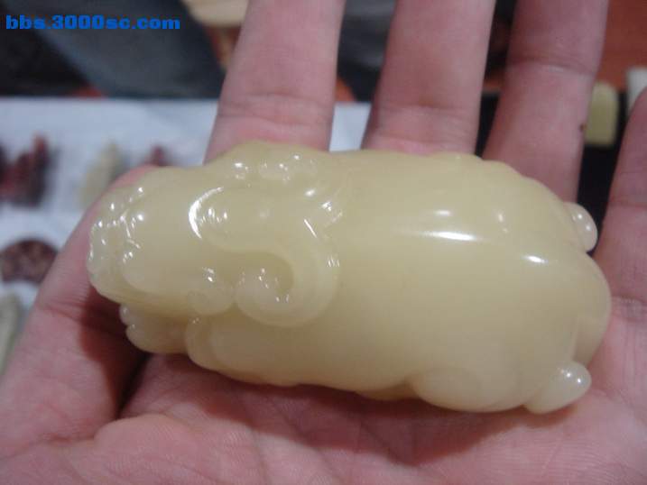 DSC05095_调整大小.JPG
