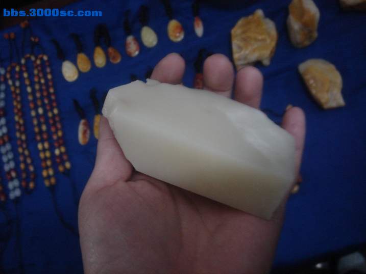 DSC05100_调整大小.JPG