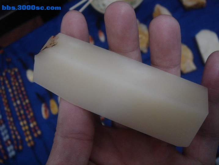 DSC05102_调整大小.JPG