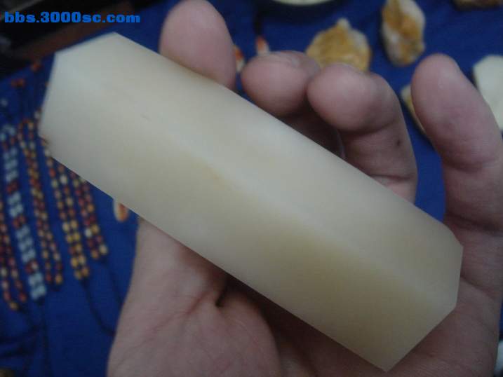 DSC05103_调整大小.JPG