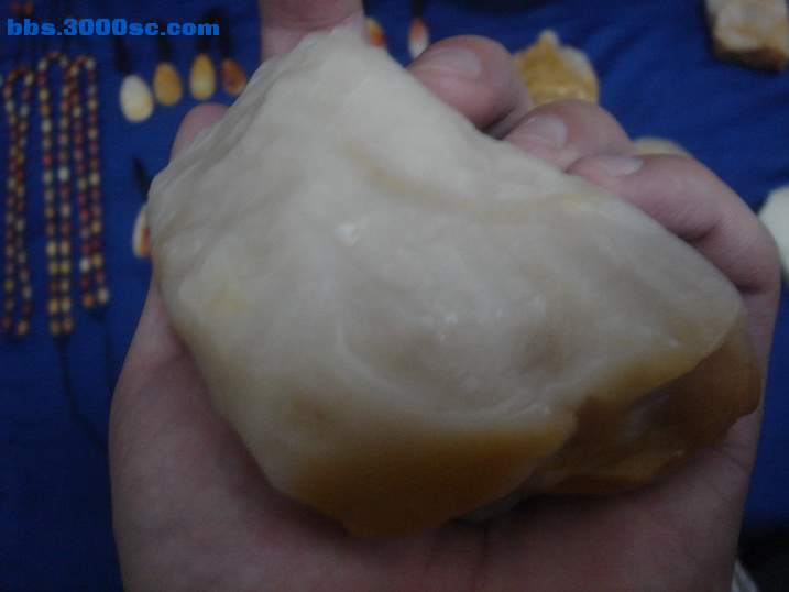 DSC05106_调整大小.JPG