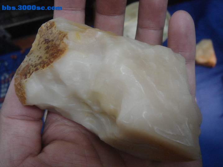 DSC05104_调整大小.JPG