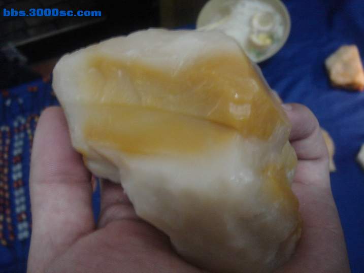 DSC05105_调整大小.JPG