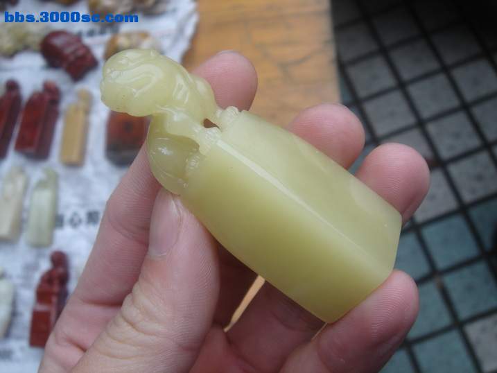DSC05124_调整大小.JPG