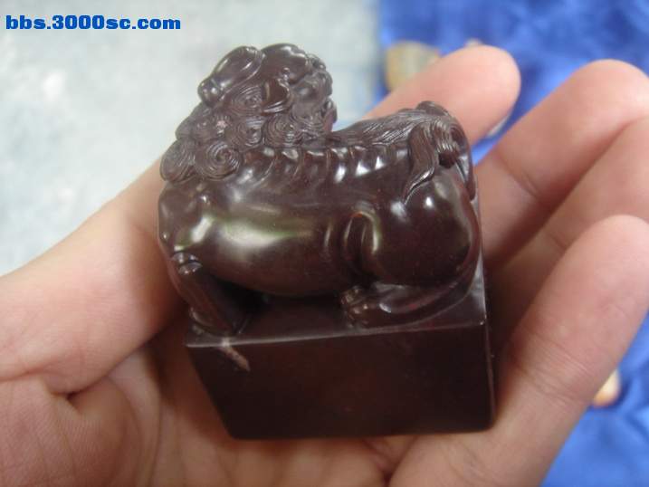 DSC05138_调整大小.JPG