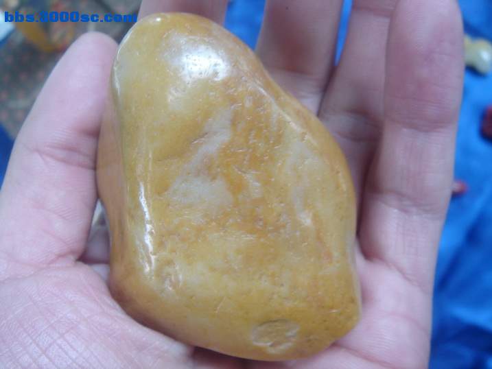 DSC05143_调整大小.JPG