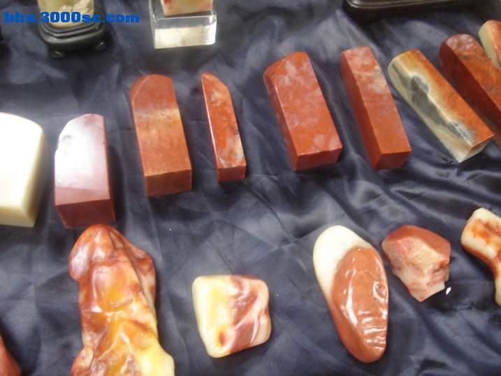 DSC05146_调整大小.JPG