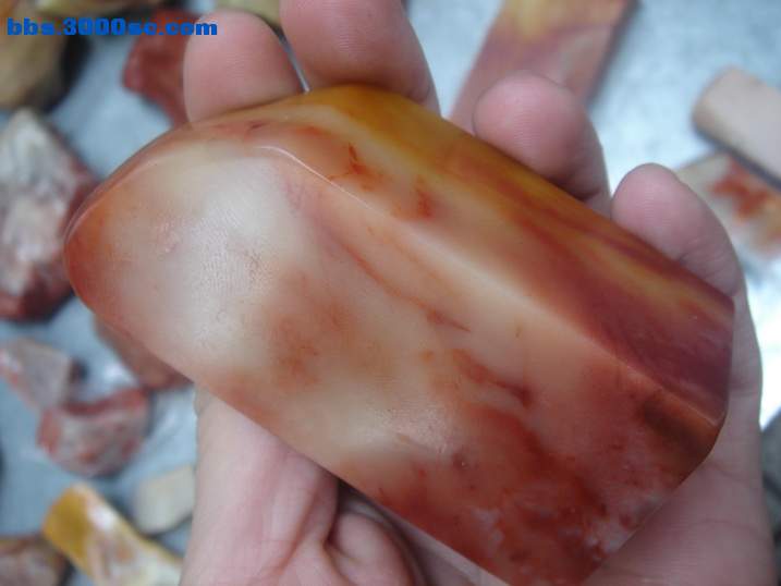DSC05148_调整大小.JPG