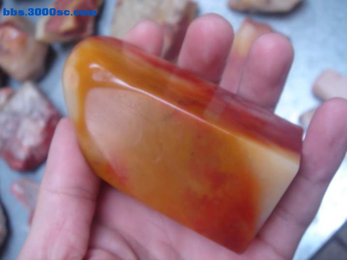 DSC05147_调整大小.JPG