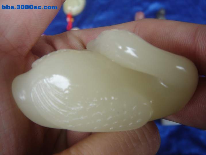 DSC05163_调整大小.JPG