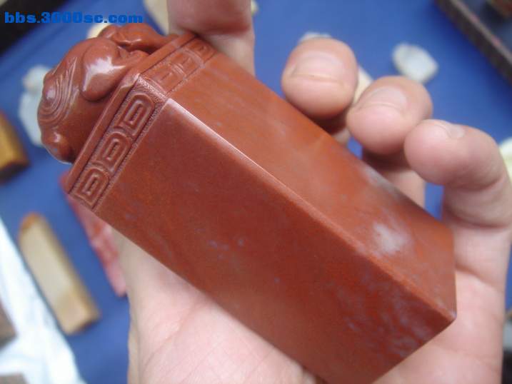 DSC05165_调整大小.JPG