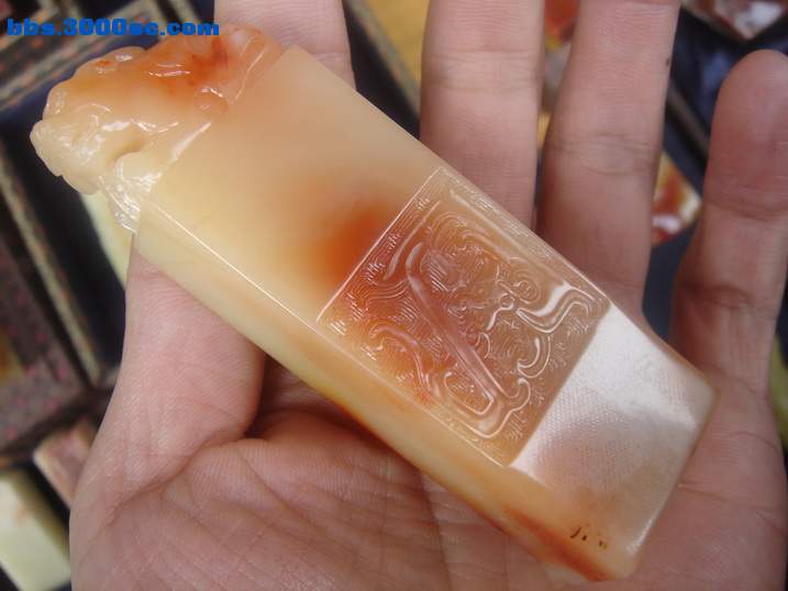 DSC05167_调整大小.JPG